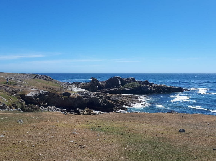 Pebble Island, United Kingdom